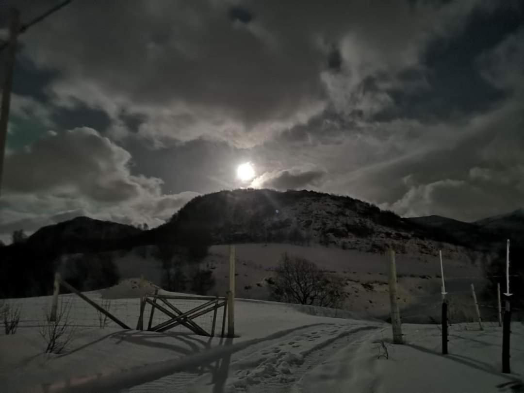 Storjord Farmstay Ranchhouse Kvaloya Eksteriør bilde