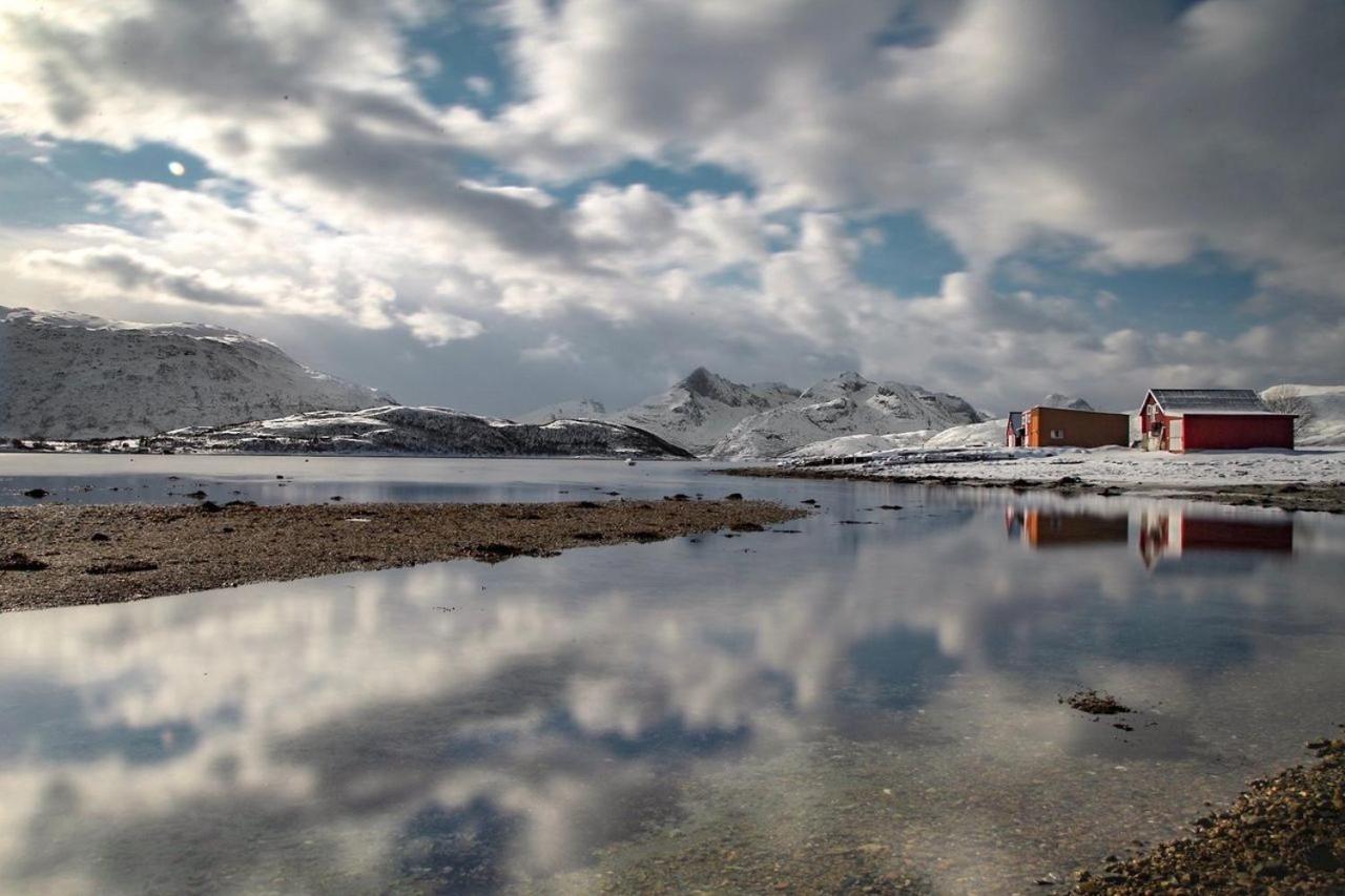 Storjord Farmstay Ranchhouse Kvaloya Eksteriør bilde