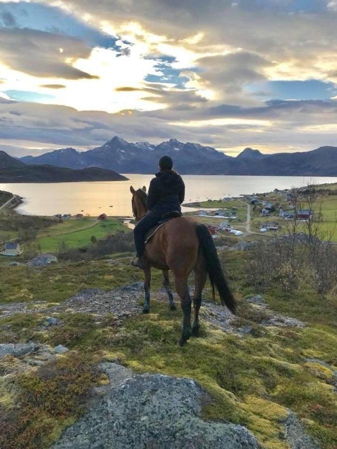 Storjord Farmstay Ranchhouse Kvaloya Eksteriør bilde