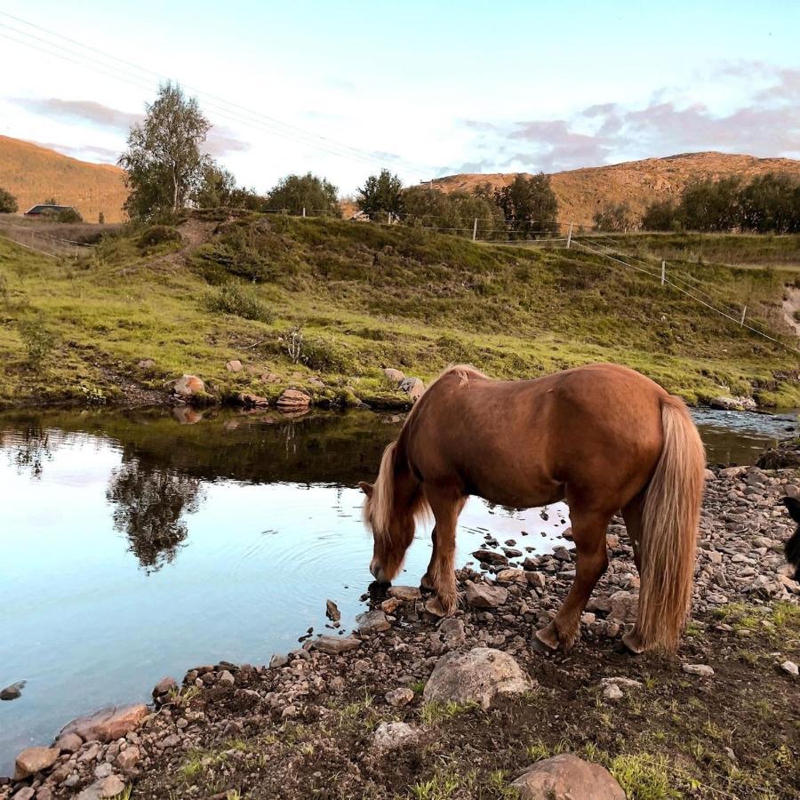 Storjord Farmstay Ranchhouse Kvaloya Eksteriør bilde