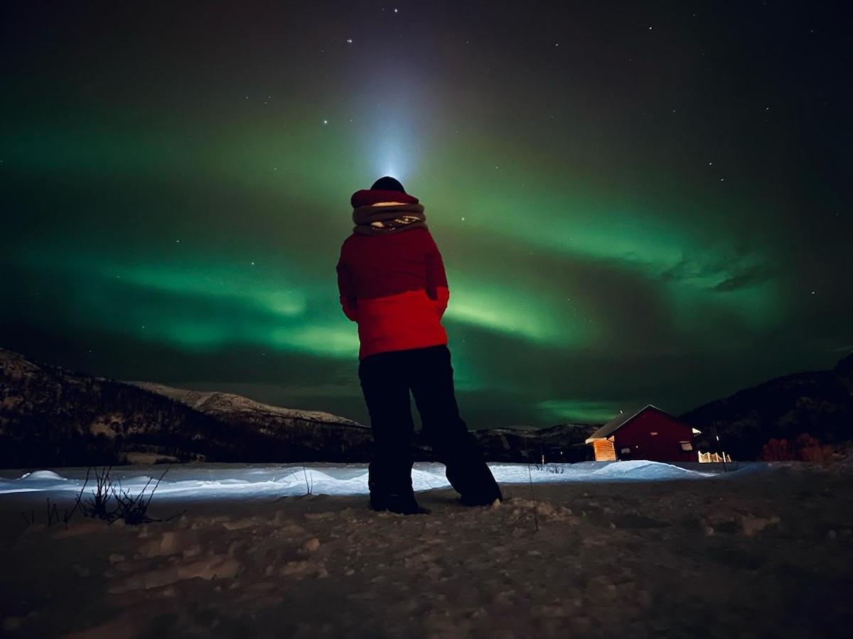 Storjord Farmstay Ranchhouse Kvaloya Eksteriør bilde