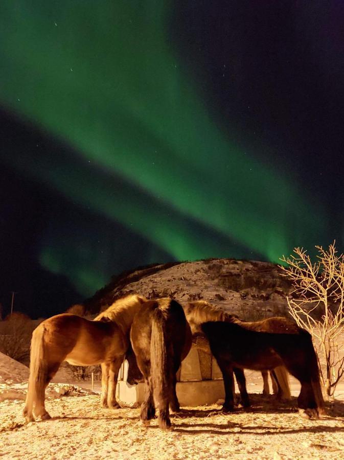 Storjord Farmstay Ranchhouse Kvaloya Eksteriør bilde