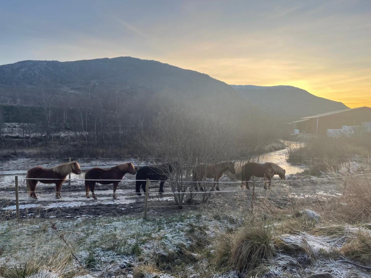 Storjord Farmstay Ranchhouse Kvaloya Eksteriør bilde